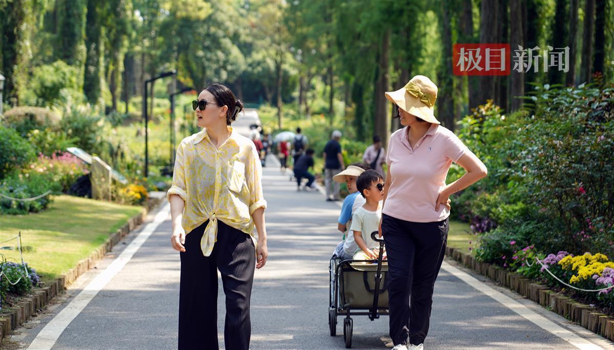 宝石之轮上8844.VIP大户